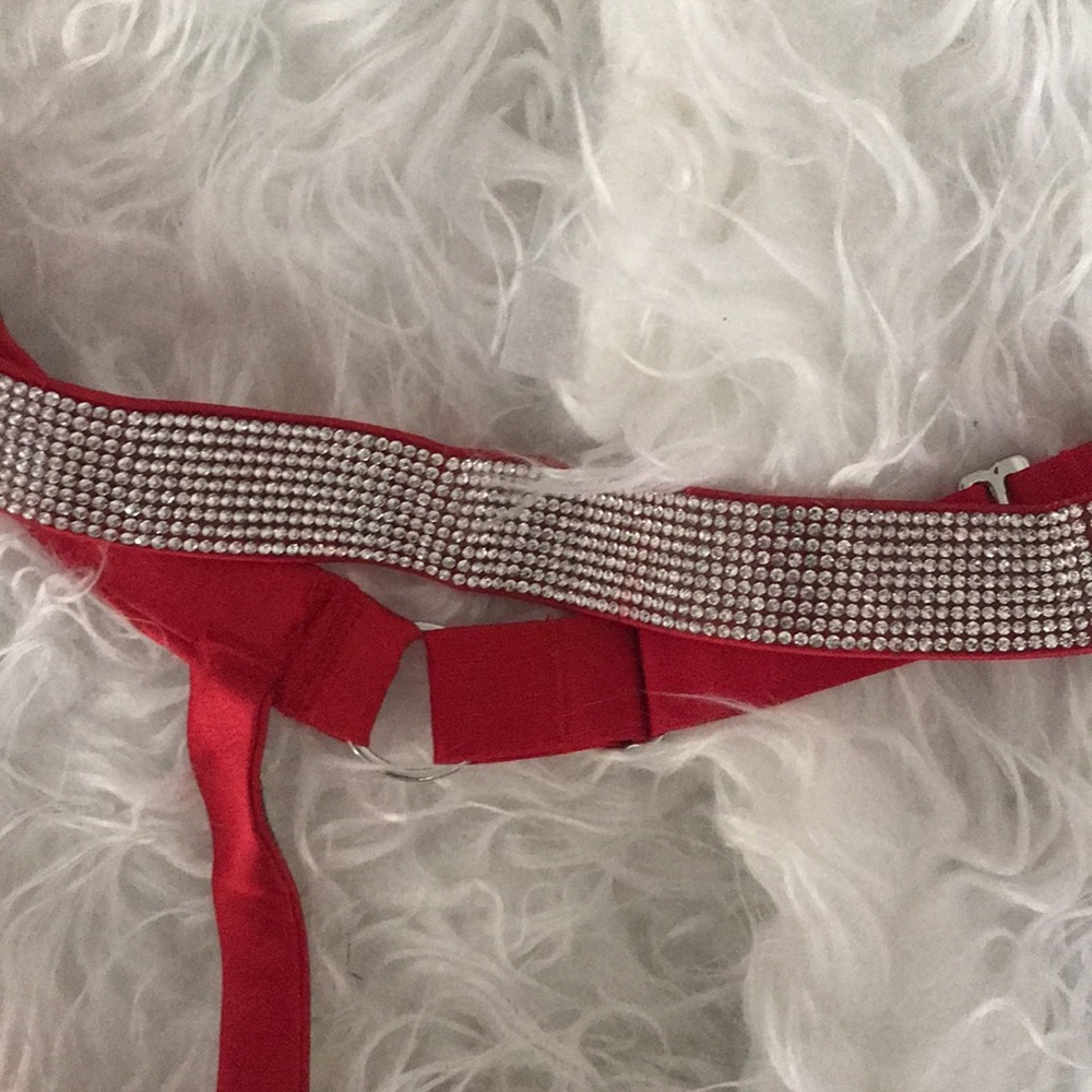 🏷️PSHOPPE‼️last call‼️Victoria’s Secret garter belt - Picture 2 of 4